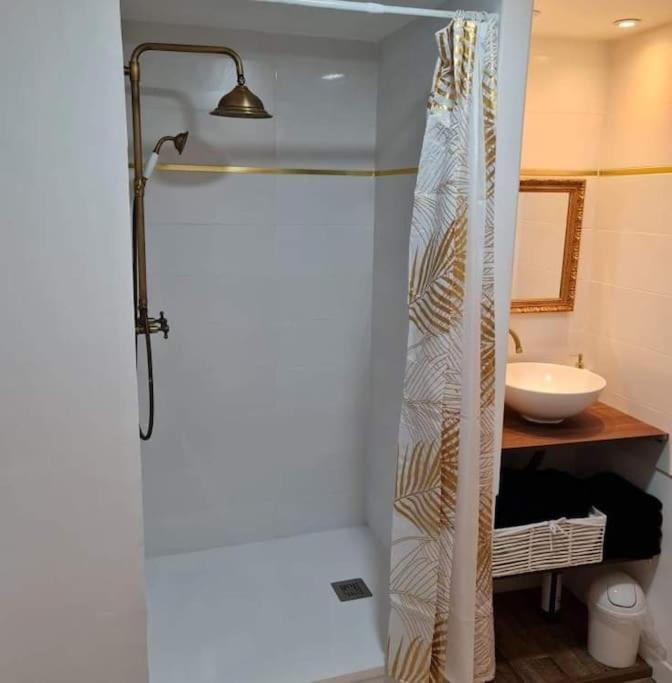 Le « Saint-Just » Apartment โรเดซ ภายนอก รูปภาพ